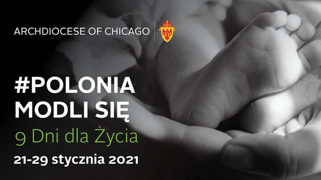 9 dni dla zycia mloda polonia wraz z duszpasterstwem polonijnym kat