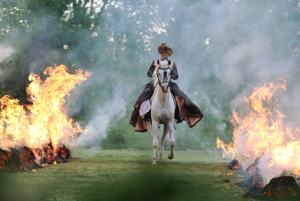 Agencja power po raz kolejny z canal kat 54