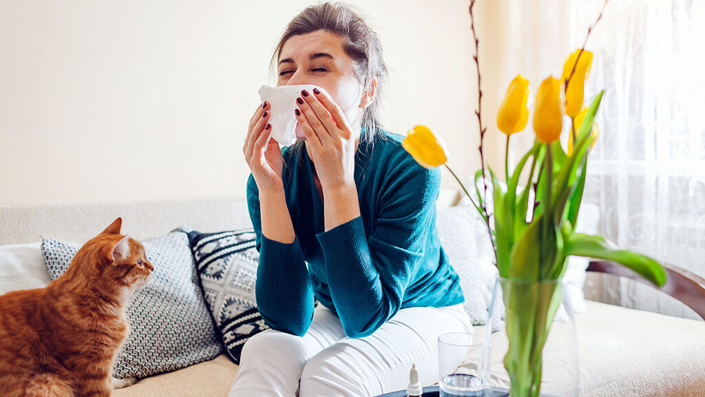 Alergie sezonowe dr dariusz nasiek odpowiada na pytania kat