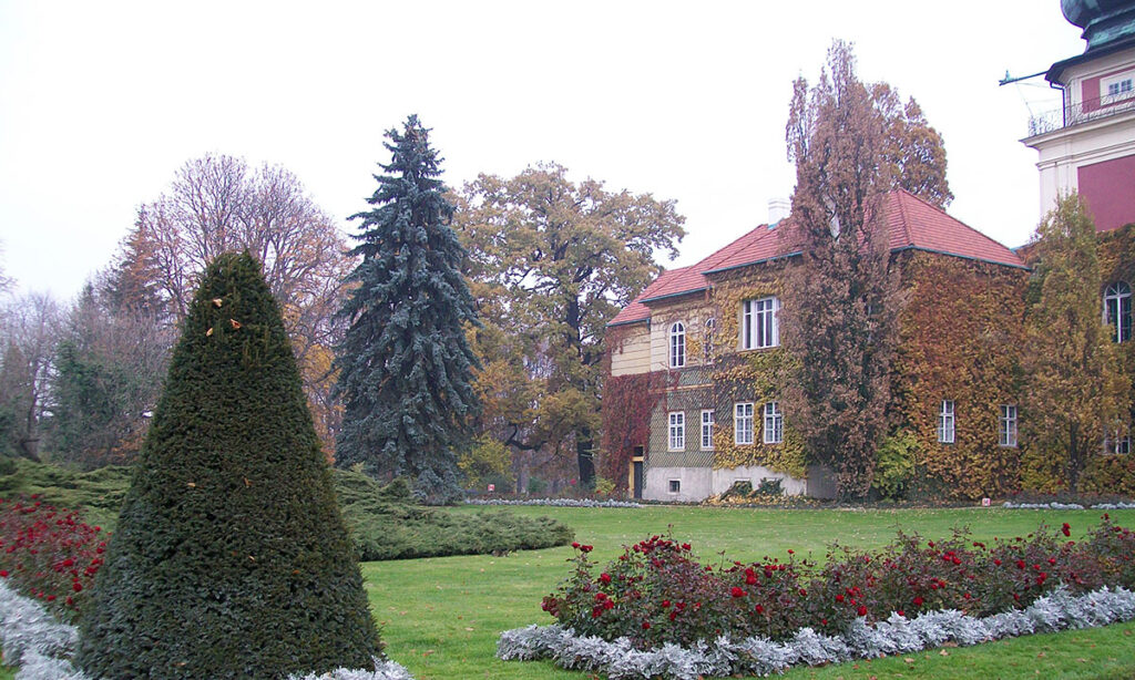 Alfred antoni potocki ostatni ordynat lancucki kat 13