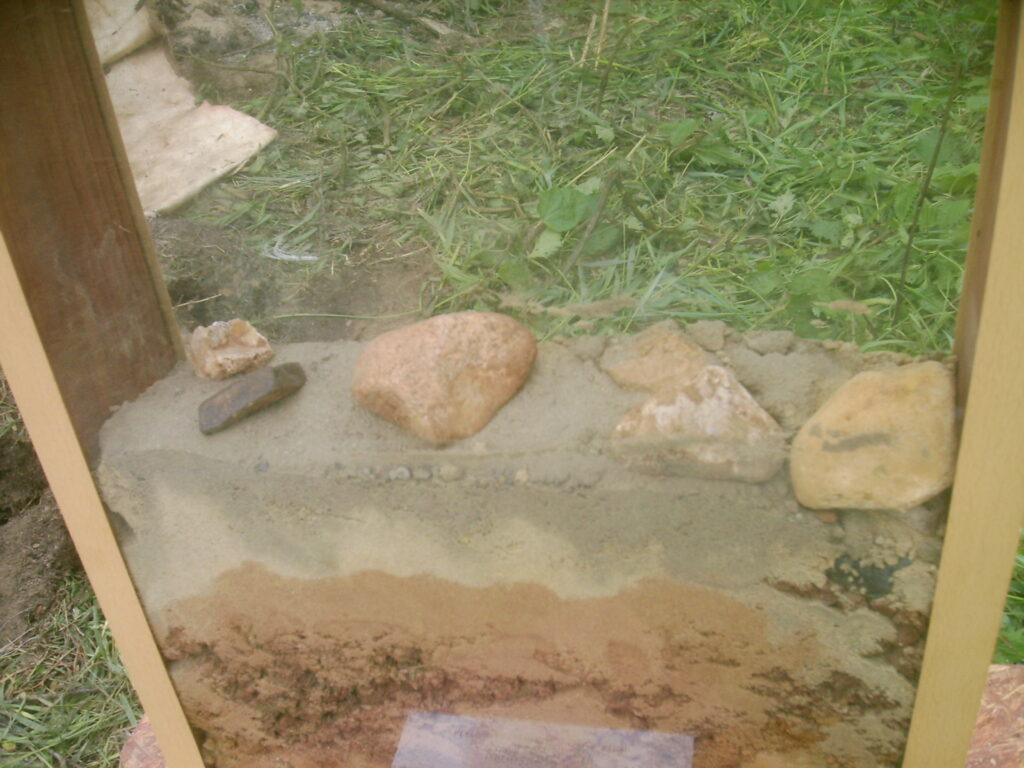 Alojzy alth jego miloscia byla geologia kat 13