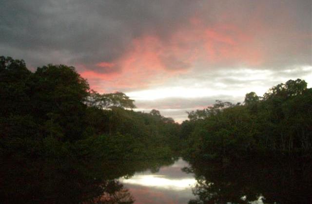 Amazon czesc 1 kat 25