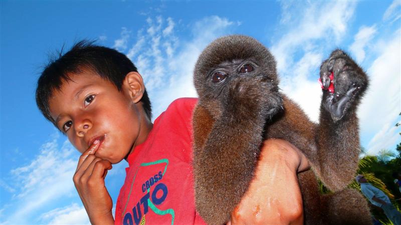 Amazon czesc 2 kat 25