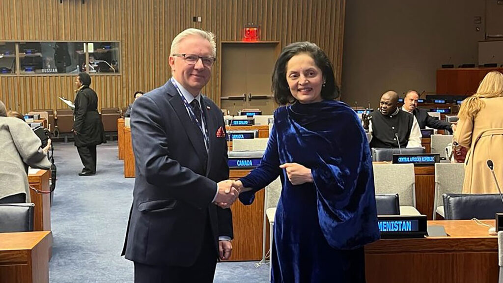 Ambassador krzysztof szczerski has been elected as the chair of the un commission on social development kat