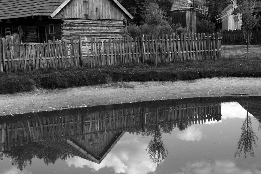 Aneta pierog sudol i places w starbucks na greenpoincie kat 55