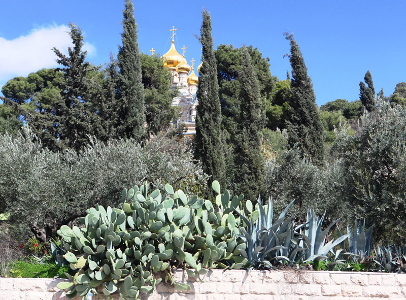 Chrystus zmartwychwstal alleluja kat 15