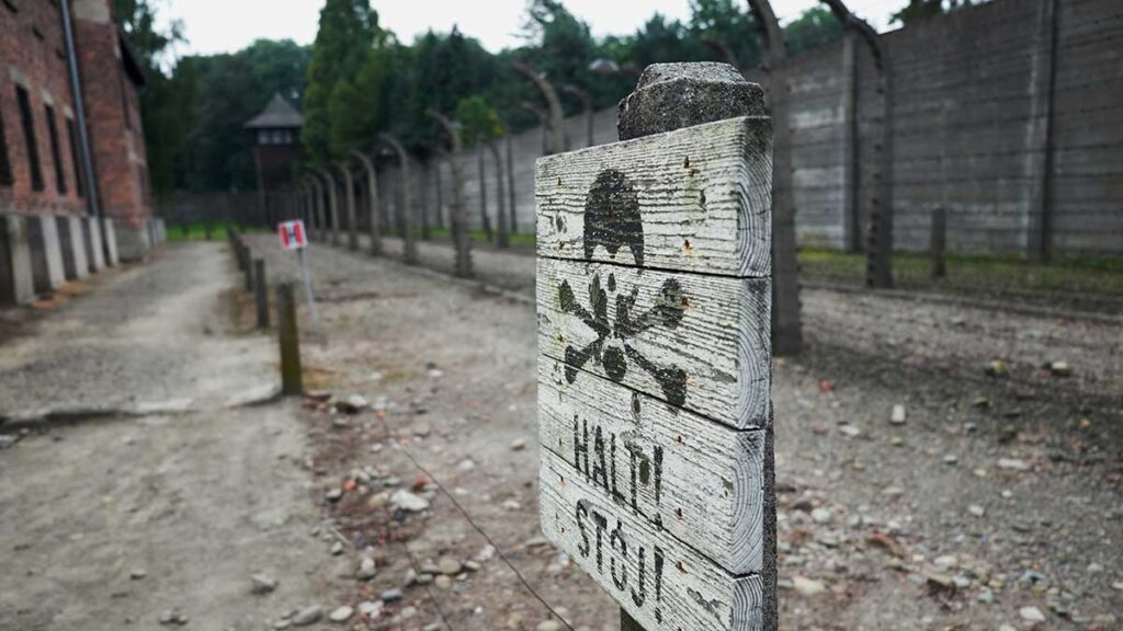 Congressman cohens holocaust revisionism kat