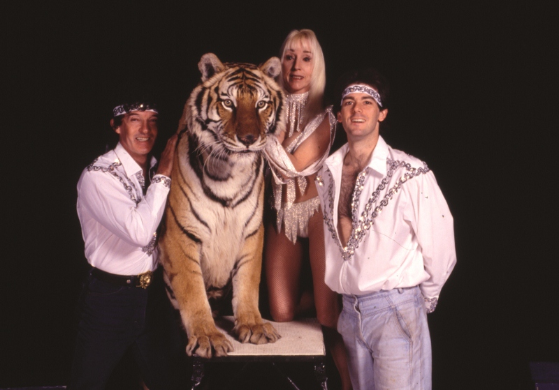 Cyrkowa idylla kat 18