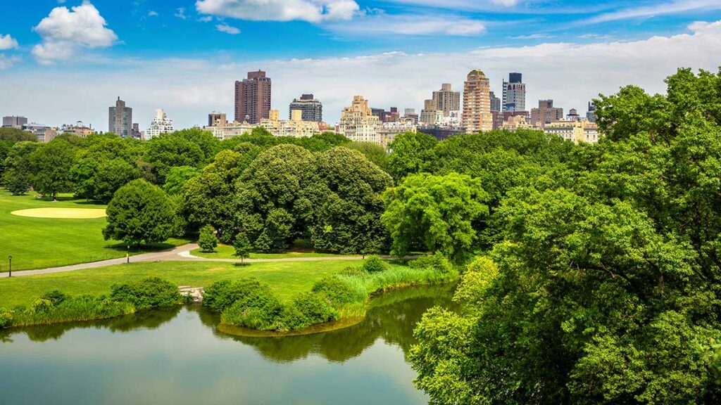 Dzien wyjdzmy na zewnatrz i spotkajmy sie w nowym jorku kat