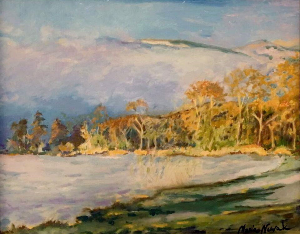 Exhibition in starbucks spring interplay landscapes kat 55