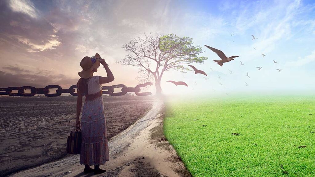 Granty do 20 tysiecy dolarow ambasady i konsulatu stanow zjednoczonych w polsce kat