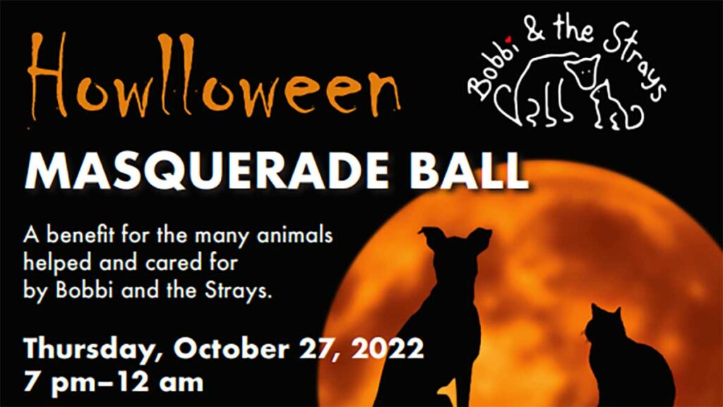 Halloween masquerade ball in new york at russos on the bay kat