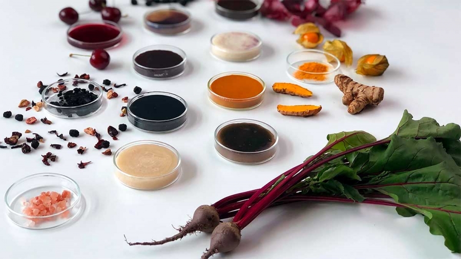 Instytut polski w nowym jorku zaprasza do javits convention center na eco solidarity 2022 kat