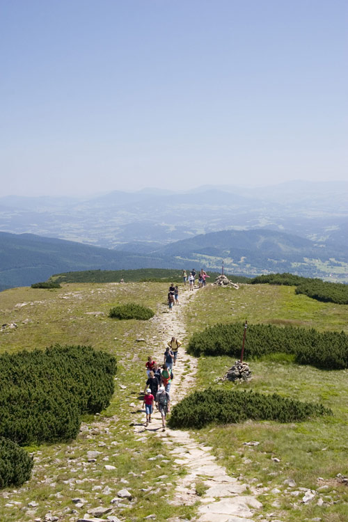 International summer art camp 2010 kat 20