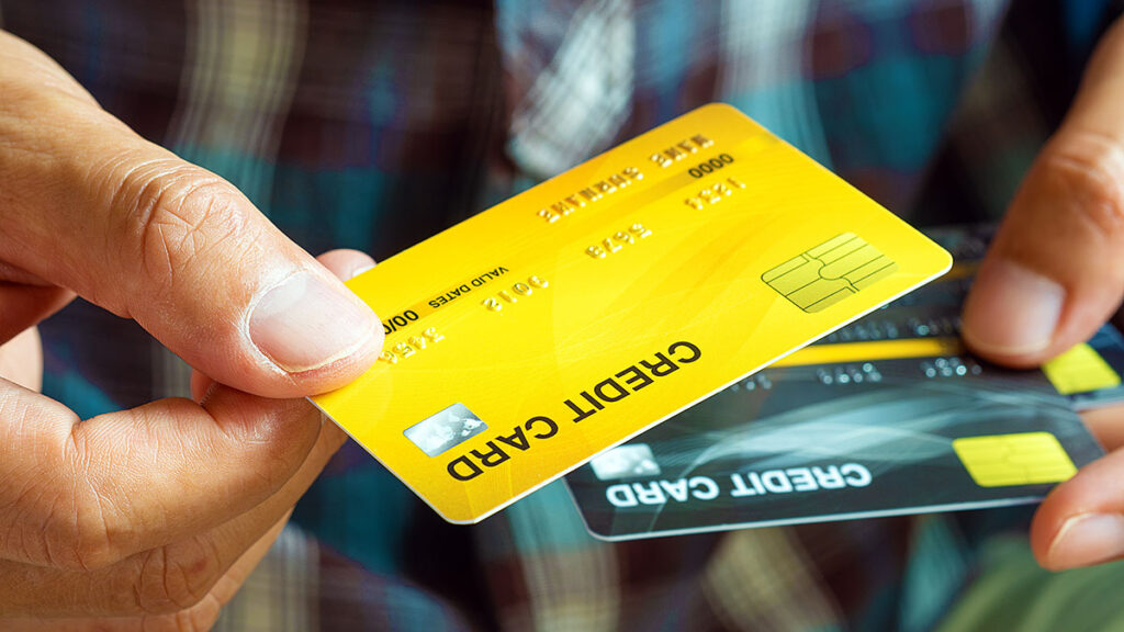 Konsekwencje zycia w usa bez kart kredytowych elzbieta baumgartner kat