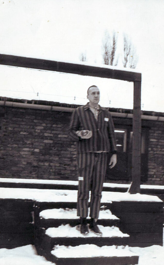 Kornblumenblau kat 50