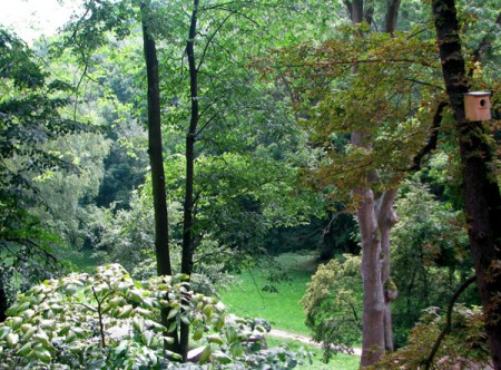 gdzie straszy Romuald Wielki