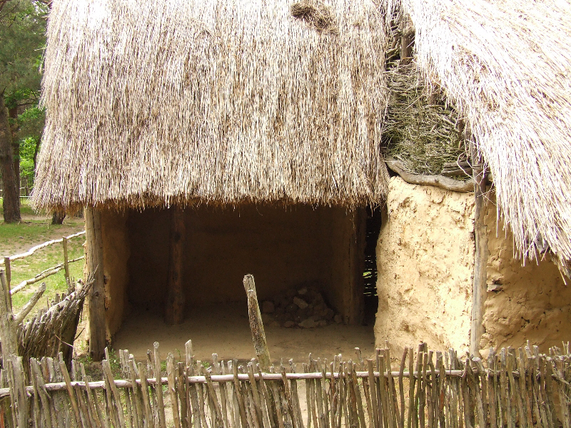 Krzemionki opatowskie rezerwat archeologiczny w okolicach ostrowca kat 13