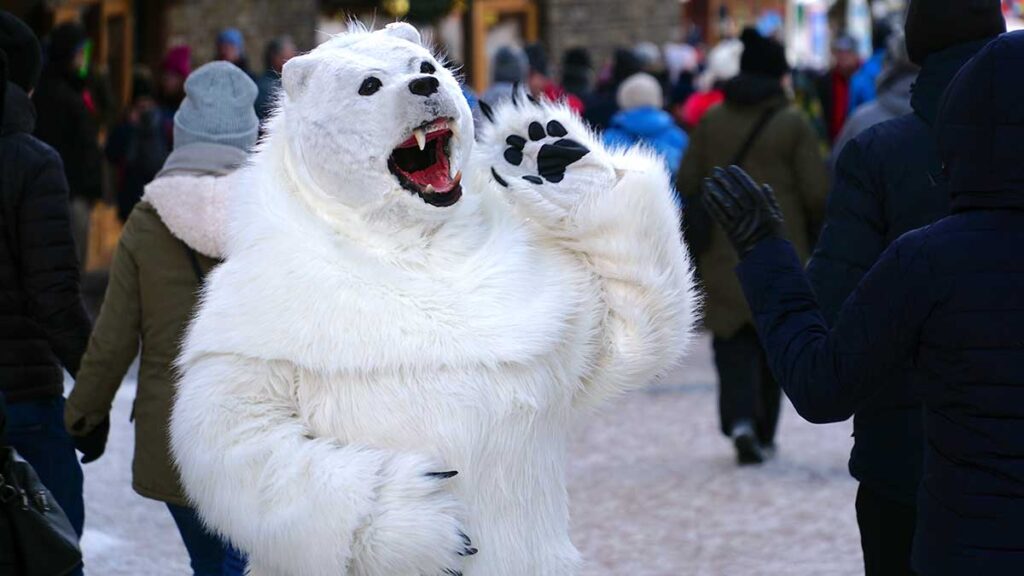 Kto ma zdjecie z misiem z krupowek kat