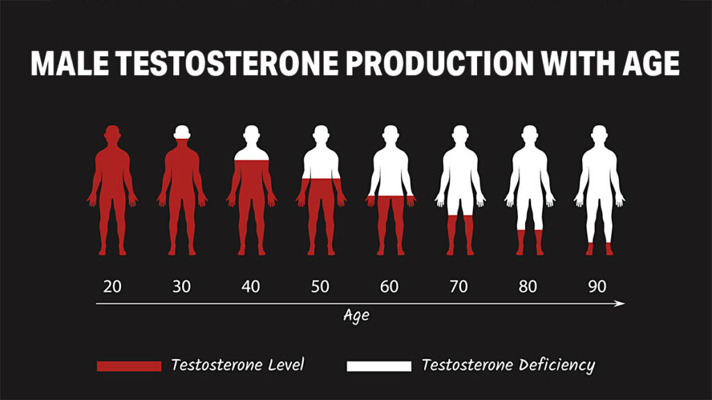 Magda wyjasnia wplyw hormonow na mase miesniowa i insulinoopornosc kat