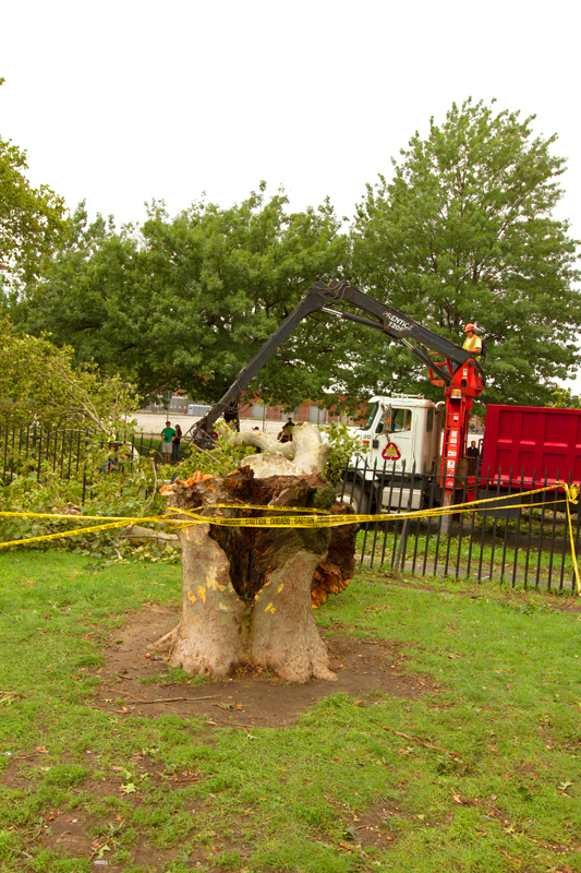 Na greenpoincie po huraganie irene kat 15