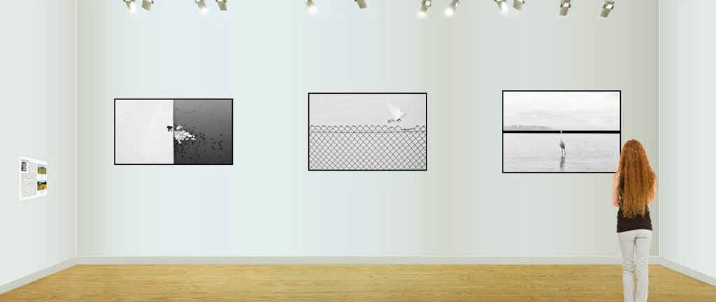 Nagrodzone polskie fotografie na wystawie w nowym jorku kat 55