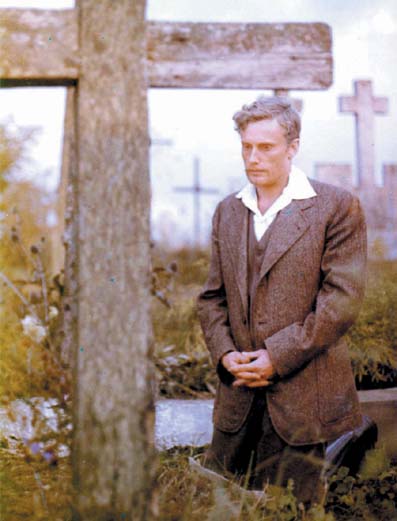 Panny z wilka kat 18