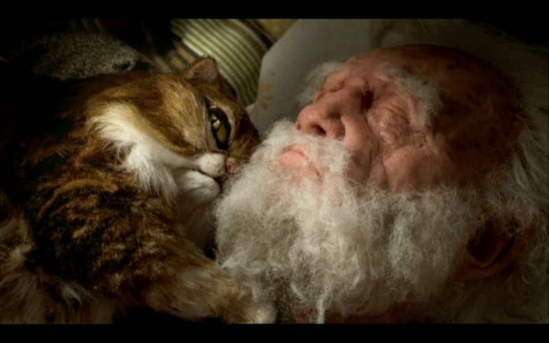 Piotrus i wilk nominowy do oscara kat 50