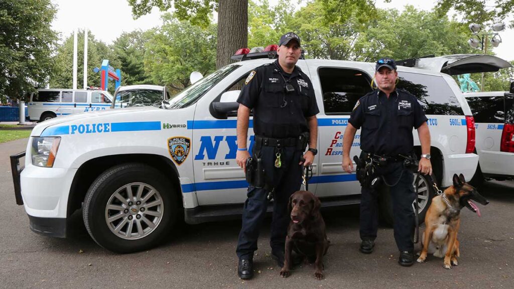 Podstawowe informacje nt policji i wymiaru sprawiedliwosci w usa kat