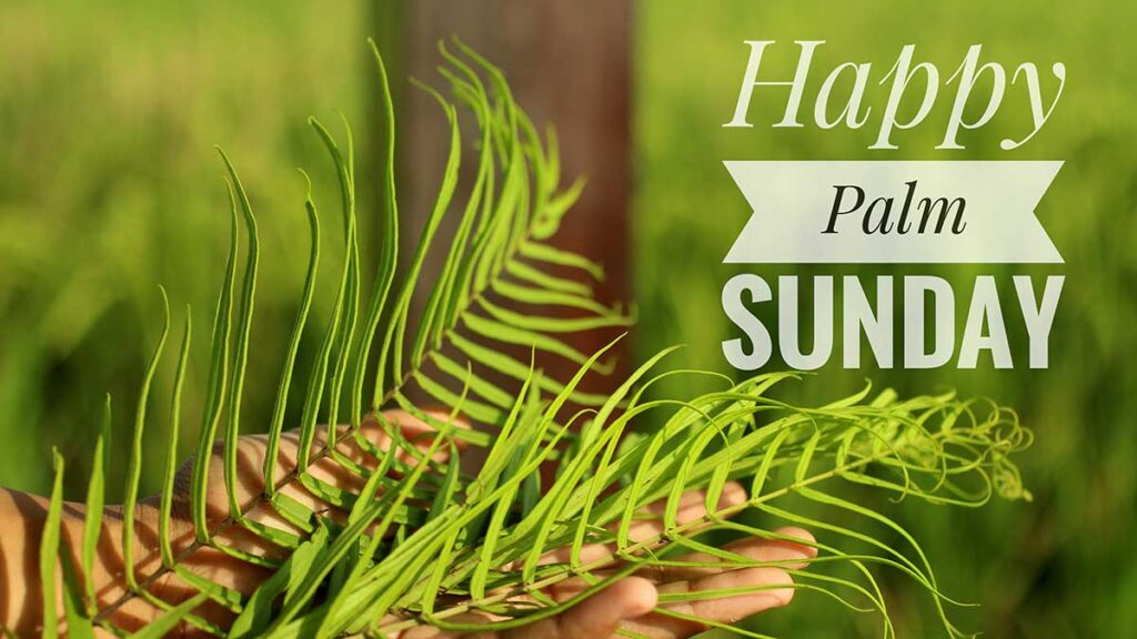 Polski sklep w yonkers zaprasza na swiateczne zakupy kat