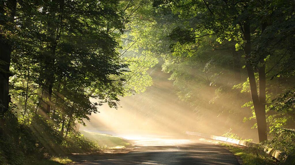 Polskie domy pogrzebowe w new jersey w clifton i wallington warner wozniak funeral service w nj kat