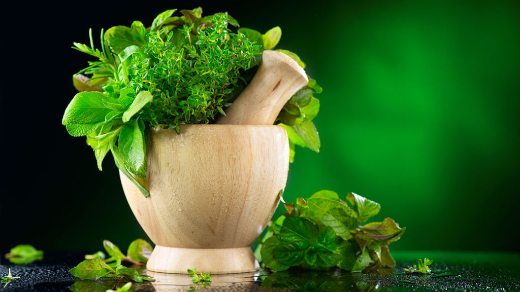 Polskie leki i ziola w usa online oferuje markowa apteka w nowym jorku kat