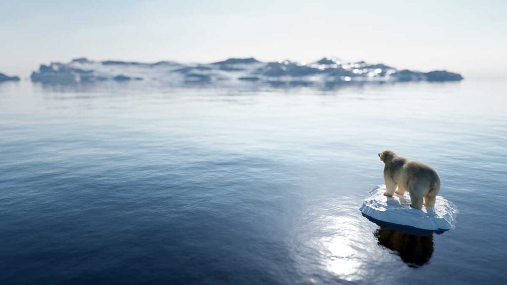 Ponad 41 bilionow dolarow czeka na zielone inwestycje w walce z globalnym ociepleniem kat