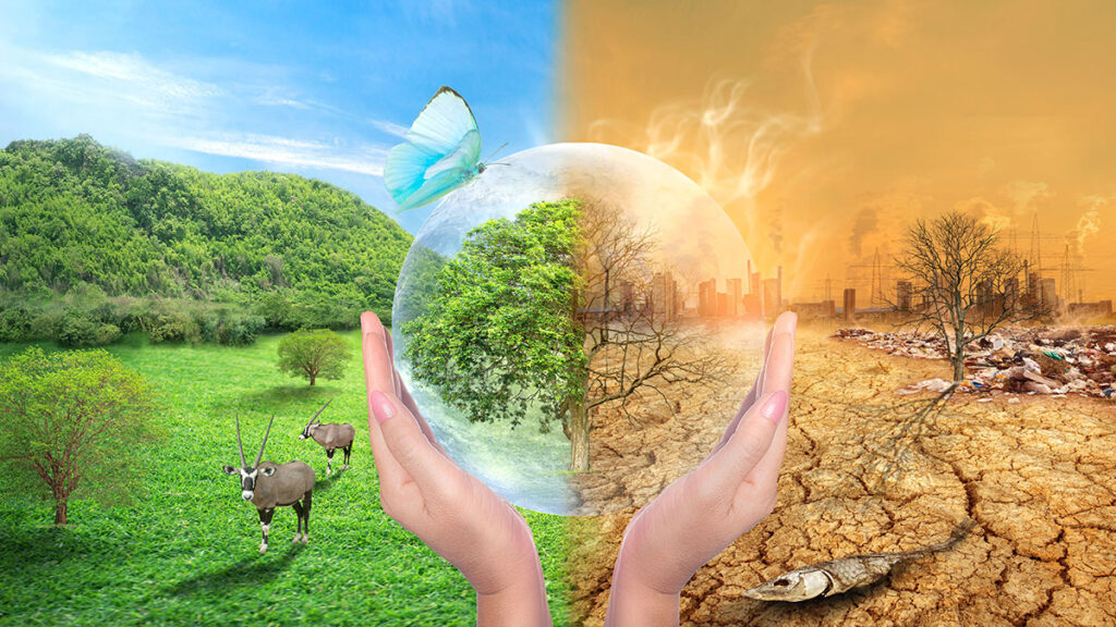 Prognozy na przyszlosc kat