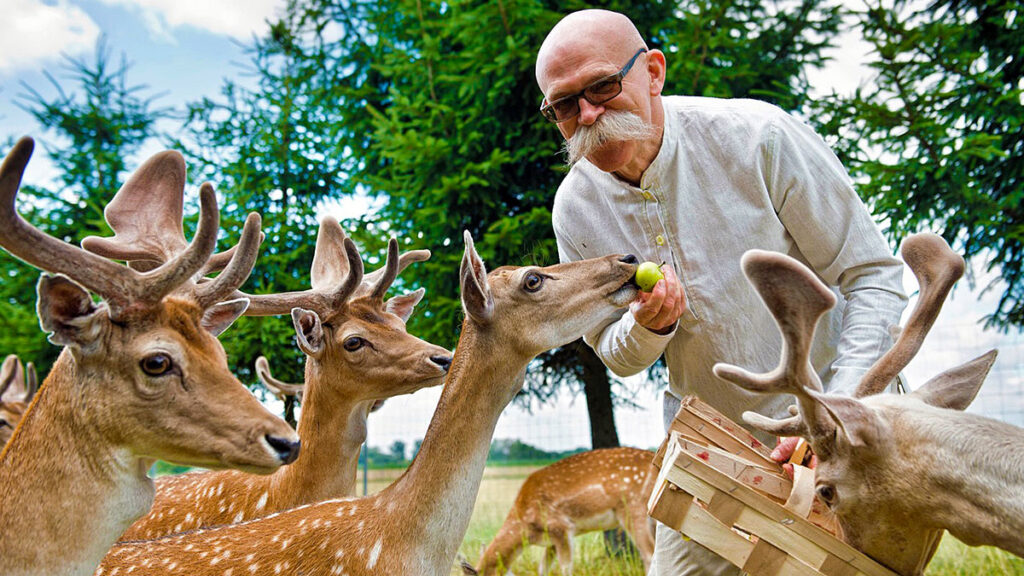 Raczej w kraju i z rodzina trendy wakacyjne polakow na lato 2023 kat
