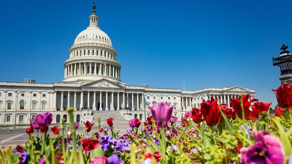 Senat usa uchwalil pakiet odbudowy w wysokosci 12 biliona dolarow kat