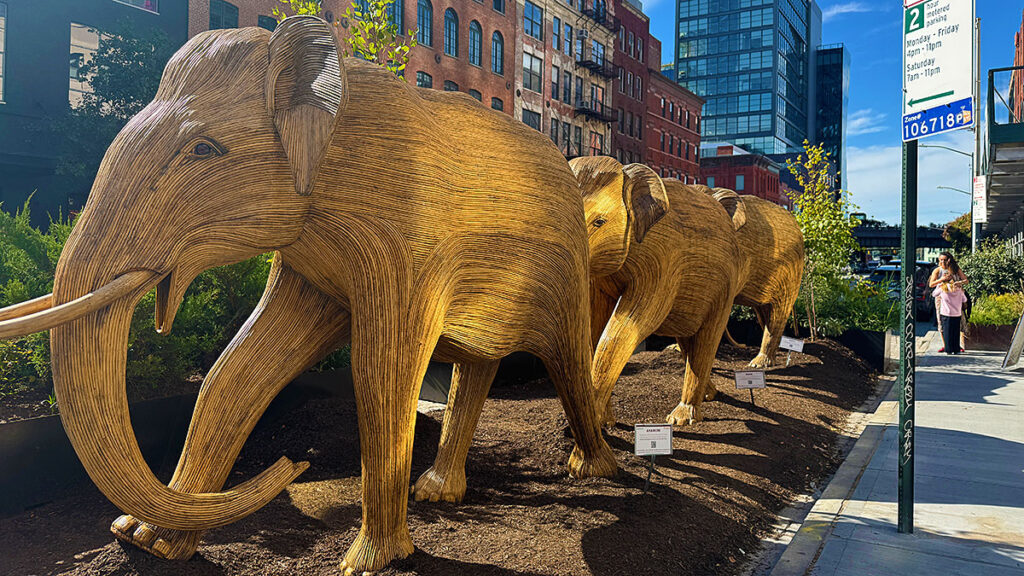 Slonie na manhattanie kat