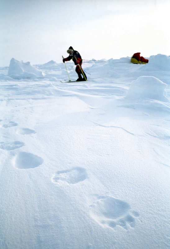 Stapajac po kruchym lodzie kat 18
