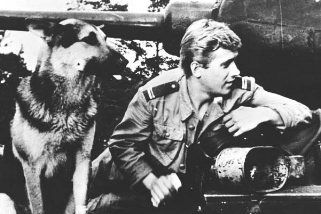 Swiateczny przewodnik tvn international kat 18