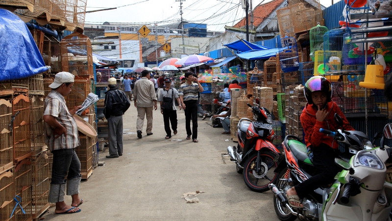 nowy program - "s.o.s. DLA ŚWIATA" na antenie itvn