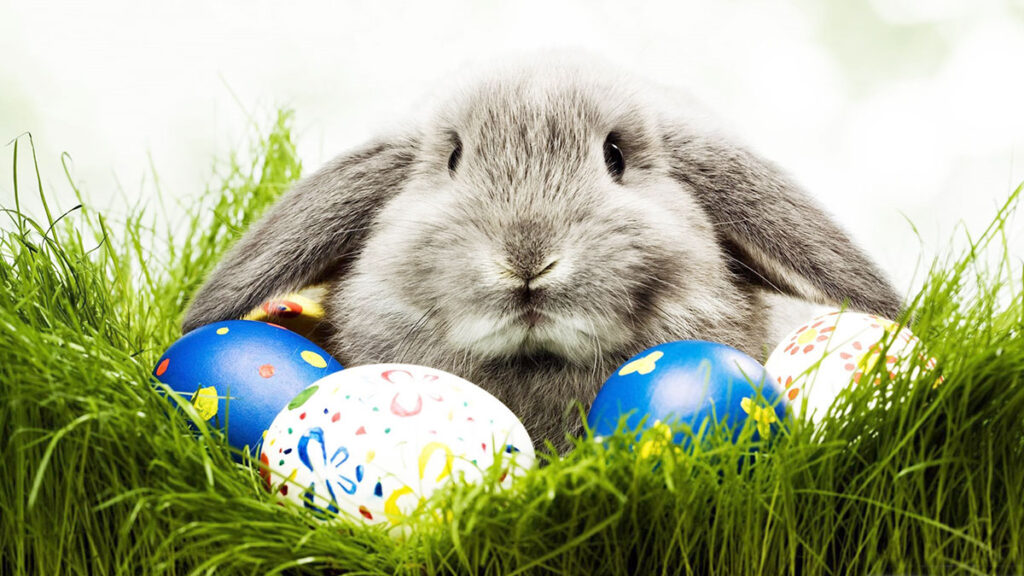 Termin wysylki paczek lotniczych do polski na wielkanoc przez polamer usa kat