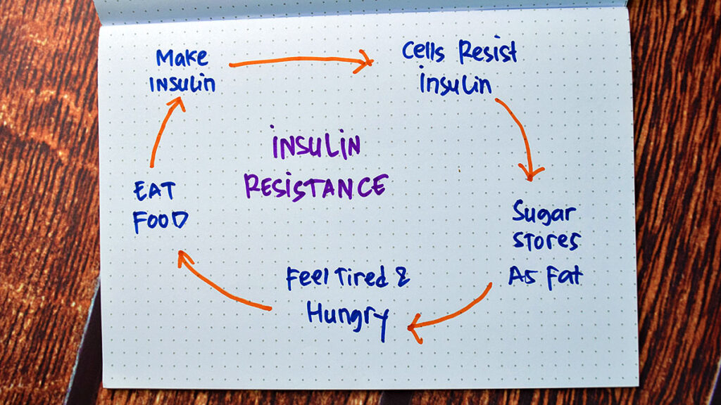 The link between edcs and insulin resistance kat
