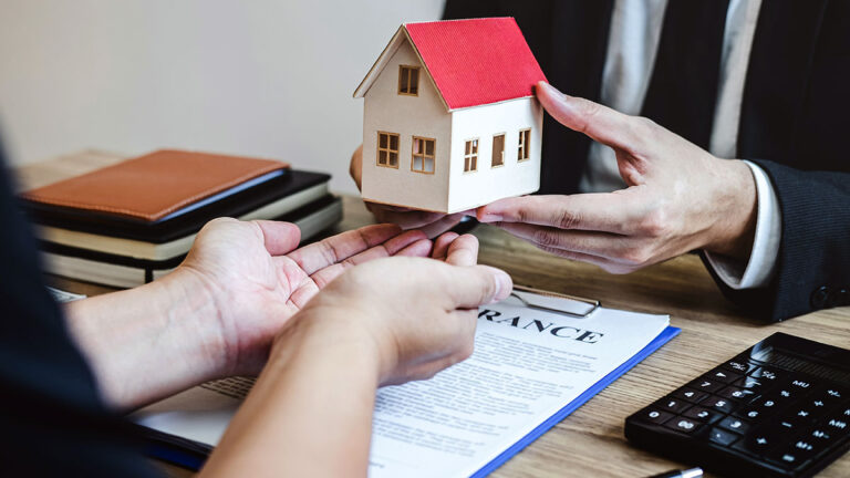 Ubezpieczenia i serwis notarialny po polsku na greenpoincie stellas brokerage kat