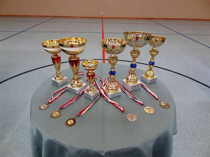 V turniej tenisa stolowego o puchar gornej austrii kat 48