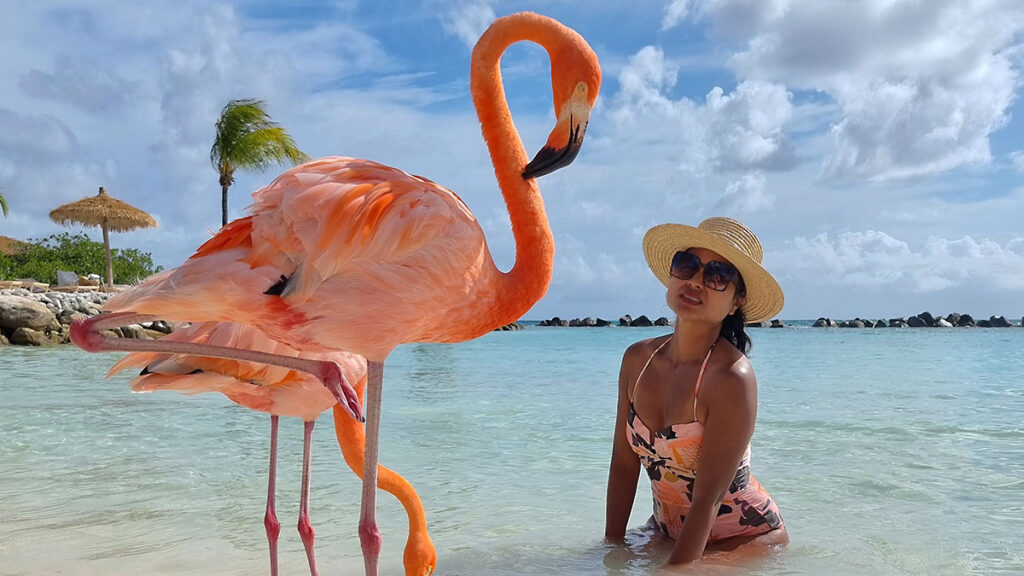 Voyager club usa z nowego jorku zaprasza na wyjazd na aruba yoga z flamingam kat