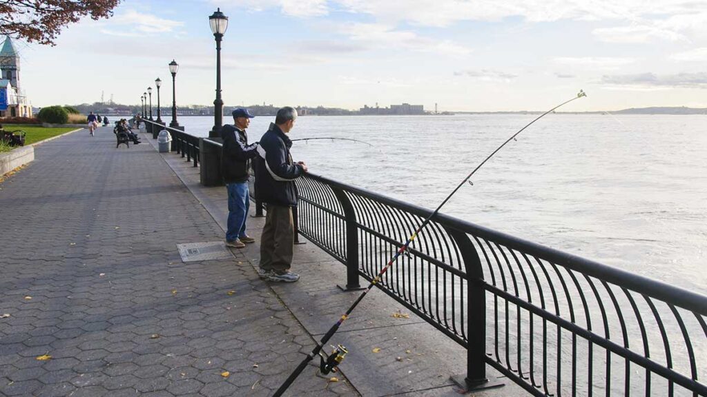 Weekend wolnego wedkowania w stanie nowy jork kat