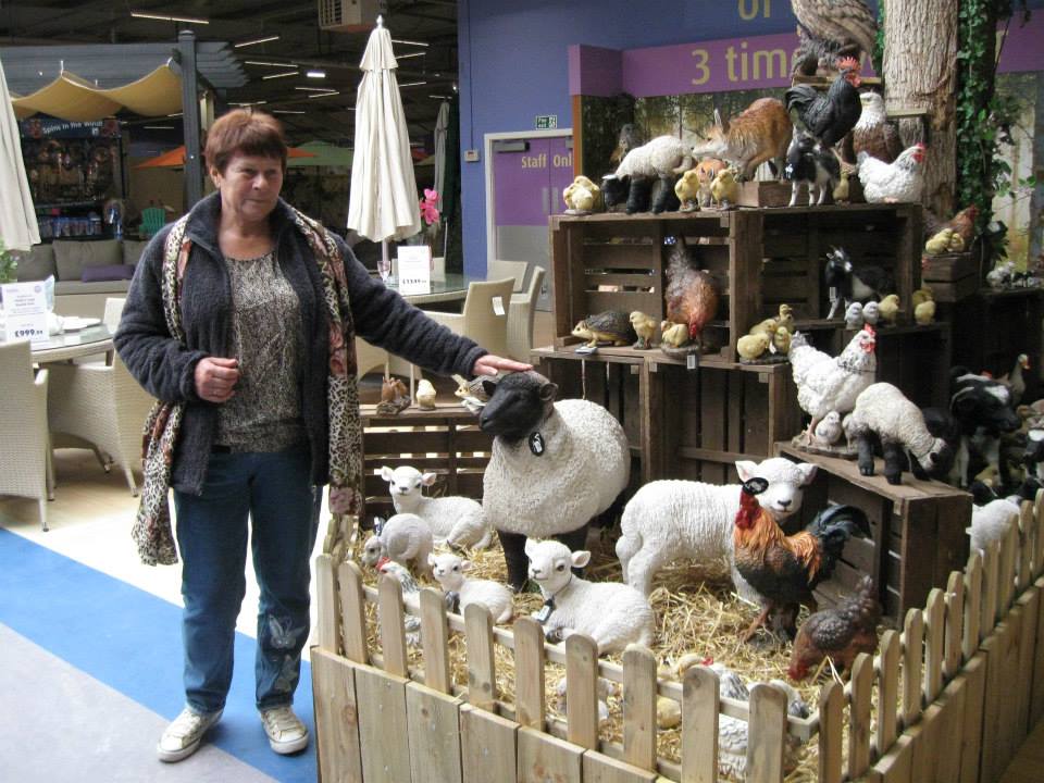 Wolontariat polskich seniorow w wielkiej brytanii kolejnym projektem stowarzyszenia mms kat 20