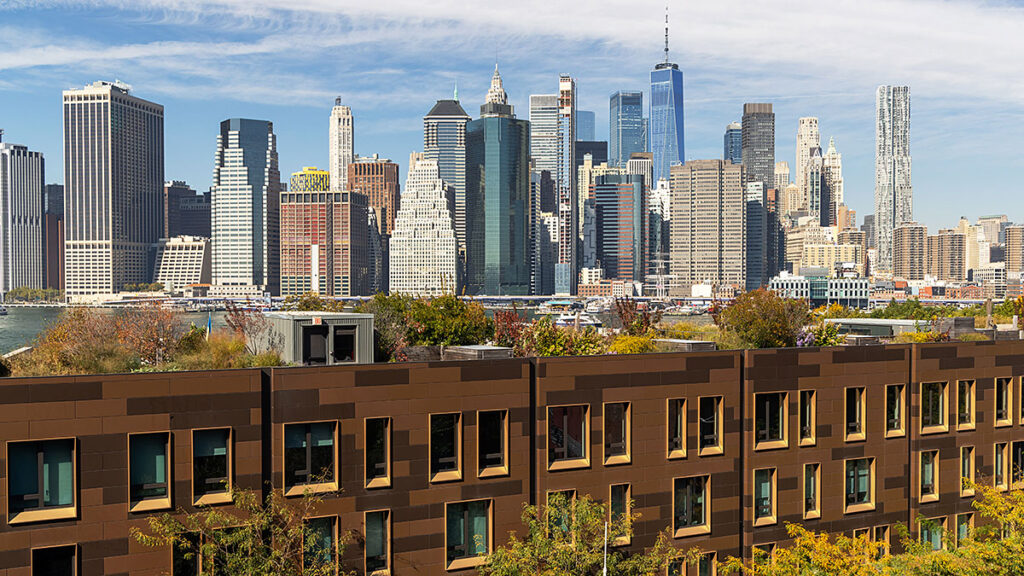 Wynajem pozyczka na mieszkanie i coop w spadku w nowym jorku adwokat romuald magda odpowiada na pytania kat