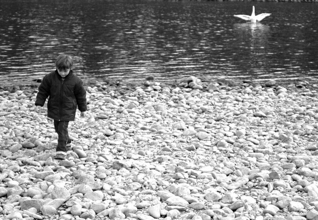 Wystawa fotografii patrycji todo w a r na greenpoincie kat 55