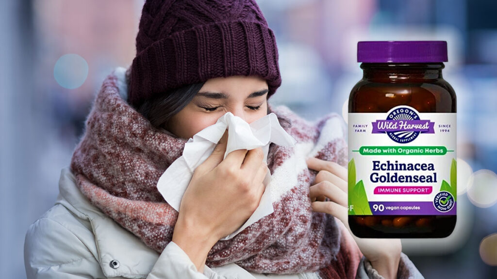 Zima to test dla twojej odpornosci wesprzyj ja biorac echinacea zinc i vitamin c kat